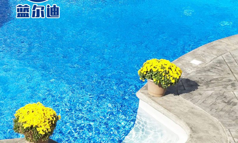 Must-Have Pool Supplies for First-Time Owners