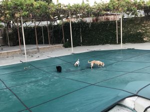 solární kryt bazénu